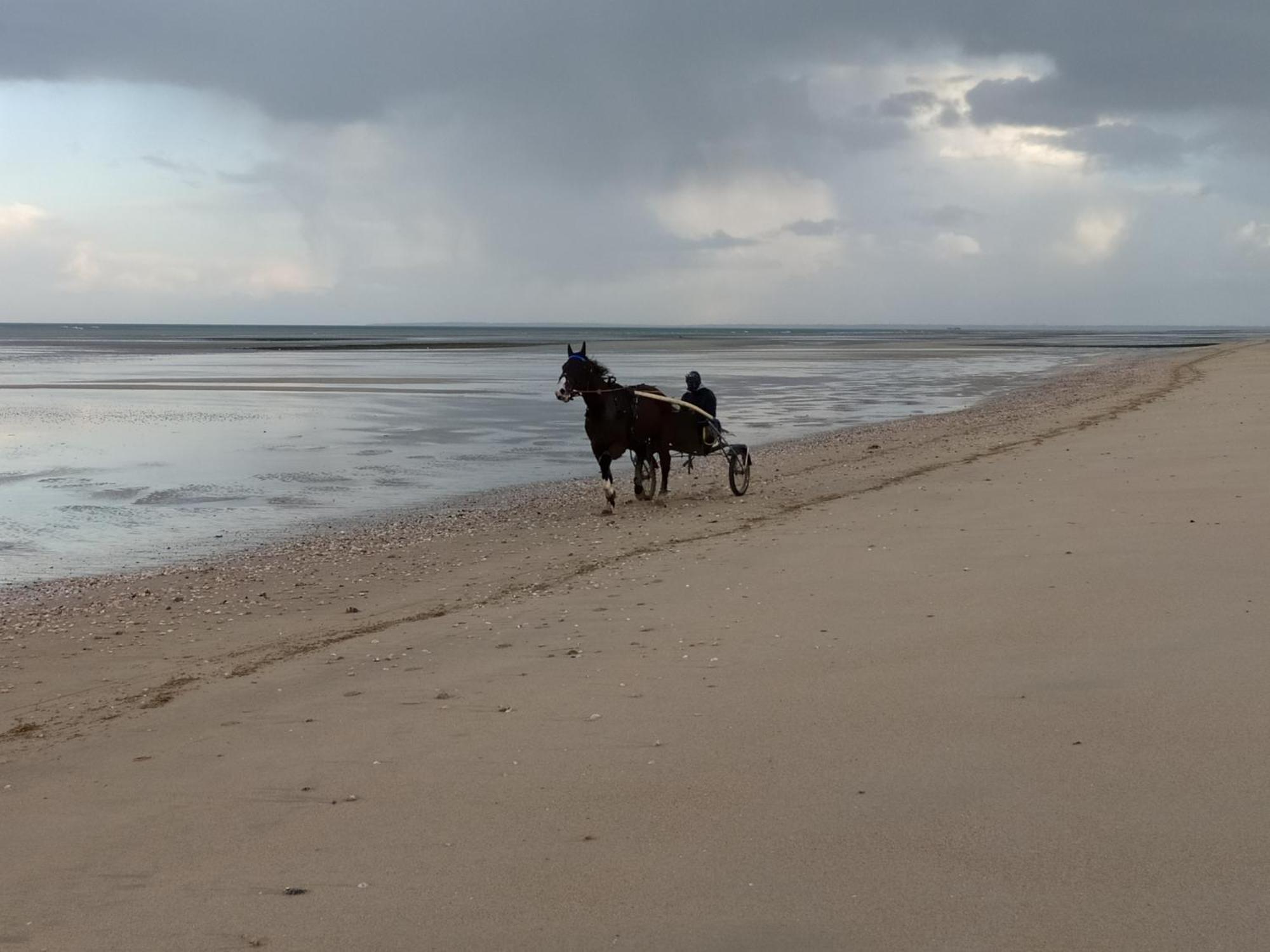 Gites "Plage" Ou "Pieds Dans L'Eau" En Front De Mer A Asnelles , 3Km D'Arromanches, 10Km De Bayeux Exterior photo